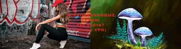 мяу мяу мука Кукмор